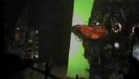 video MATRIX - KAMERA ARKASI 4
