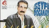 Seyfi Doğanay - Ciddimisin