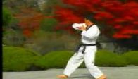 taekwondo poomse 5