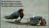 video MİNE KOŞAN - SENSİZ SABAH OLMUYOR