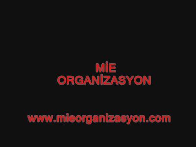 palyaço organizasyon