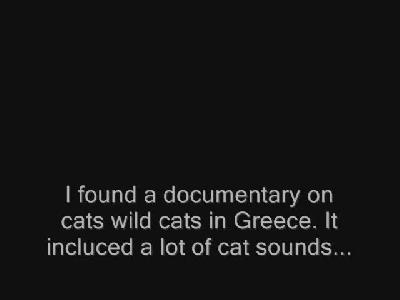 Kedi Pembe dizi İzliyor